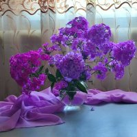 Флоксов букетик :: Валентина Богатко 