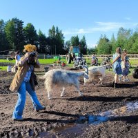 В колхоз приехали иностранные журналисты. :: Ольга 