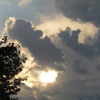 вечер :: Елена Шаламова вечер :: Елена Шаламова