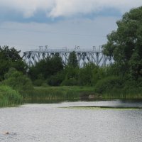 Усманка :: Елена Шаламова Усманка :: Елена Шаламова