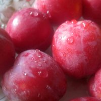 Нектарины :: Елена Семигина