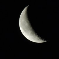 ночная красавица луна. :: Olga Kxarlamova