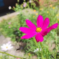 ,,, :: Сергей Тимоновский ,,, :: Сергей Тимоновский