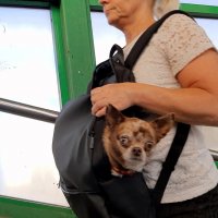 *** :: Владимир Захаров