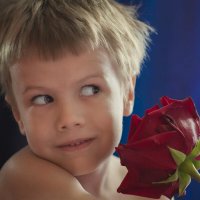 ... :: ВЛАДИМИР 