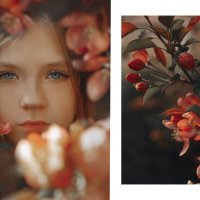 Елизавета :: наталья жданюк