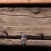 ------------------ :: AL Reborn 