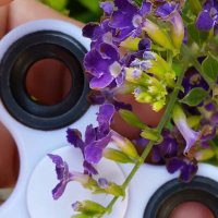 112 (144) :: СТРЕН 