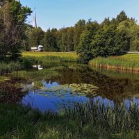 Полдень у маленького пруда.. :: Татьян@ Ивановна