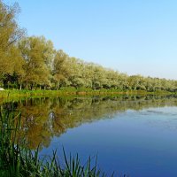 Отражение. :: VasiLina *