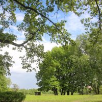 Орловский парк :: Наталья Герасимова