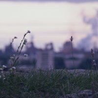 *** :: Сергей Сергеев