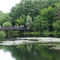 Парк усадьбы Покровское-Стрешнево :: Лидия Бусурина Парк усадьбы Покровское-Стрешнево :: Лидия Бусурина