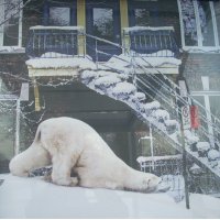 ДОЖДАЛСЯ ! Ну , наконец-то - ЗИМА-А,,, :) :: Валерий Кокорев ДОЖДАЛСЯ ! Ну , наконец-то - ЗИМА-А,,, :) :: Валерий Кокорев