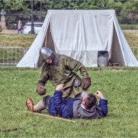 Поверженный. :: Александр Максимов