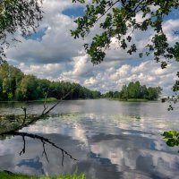 Daugaviņa 030825 m :: Arturs Ancans