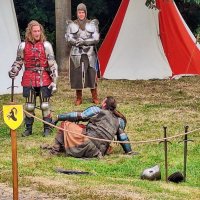 Лежачего не бьют :: Андрей K.