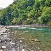 ГОРНАЯ РЕЧКА :: Tata Wolf