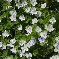 С небес на землю марево упало... :: Freddy 97