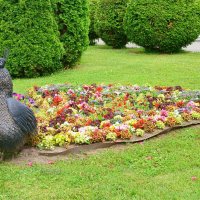 Павлиний хвост :: Сергей Беляев