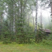 Домик в тумане :: Галина Кан