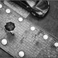 Перед дождем :: Анатолий ИМХО Перед дождем :: Анатолий ИМХО