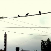 Утренняя геометрия :: Елена Минина