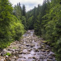 ** :: Александр Липовецкий