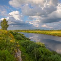 **** :: Елизавета .