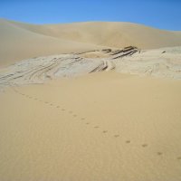 Здесь есть жизнь... :: unix (Илья Утропов)