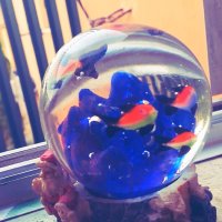 112 (154) :: СТРЕН 