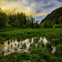 В отблесках заката. :: Юрий кот В отблесках заката. :: Юрий кот