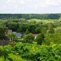 Московская область. Село Новый Быт. :: Наташа *****