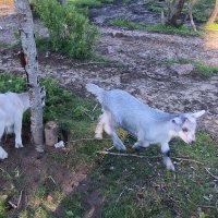 Молодое поколение. :: Ольга 