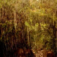 Когда вода всемирного потопа... :: Maria Rainer