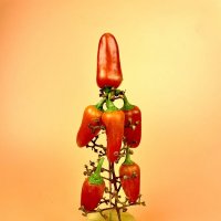 Фантазия :: Виктор Орехов