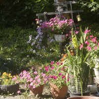 У меня в садочке :: Ольга Cоломатина У меня в садочке :: Ольга Cоломатина