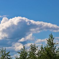 Небесный слоник :: Светлана 