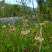 ПЛАСТУНКА-СОЧИ :: Tata Wolf ПЛАСТУНКА-СОЧИ :: Tata Wolf