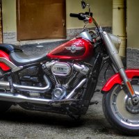 Железный конь... :: Станислав Мутовин