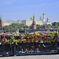 - :: Владимир Мигонькин