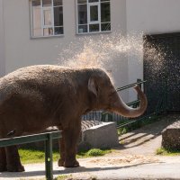 Калининград. Зоопарк :: Андрей 