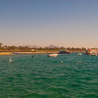 Египет :: Андрей 