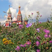 Зарядье 6 августа :: Михаил Бибичков Зарядье 6 августа :: Михаил Бибичков