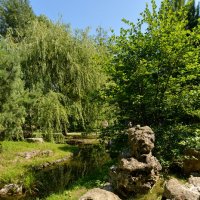 Камни парка Хуамин :: Леонид Иванчук