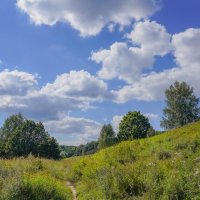 Под небом августа... :: Владимир Жданов