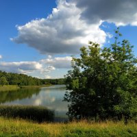 Август в Измайловском парке :: Андрей Лукьянов Август в Измайловском парке :: Андрей Лукьянов