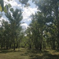 Хороший день :: Андрей Хлопонин