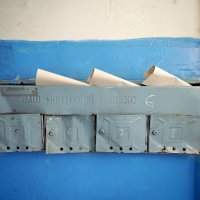 * :: Dmitry i Mary S