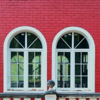 Симметрия :: Любимова Ольга 